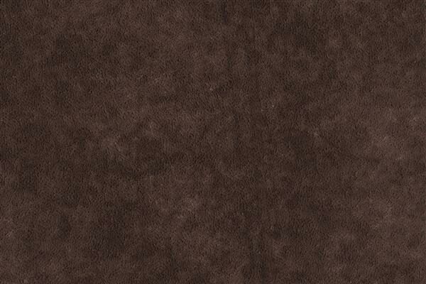 405-Velour Bruin
